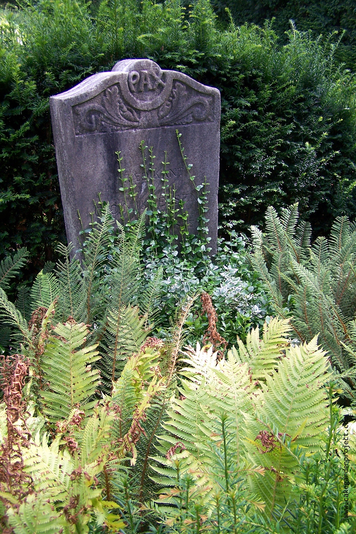 cimitero amsterdam_1