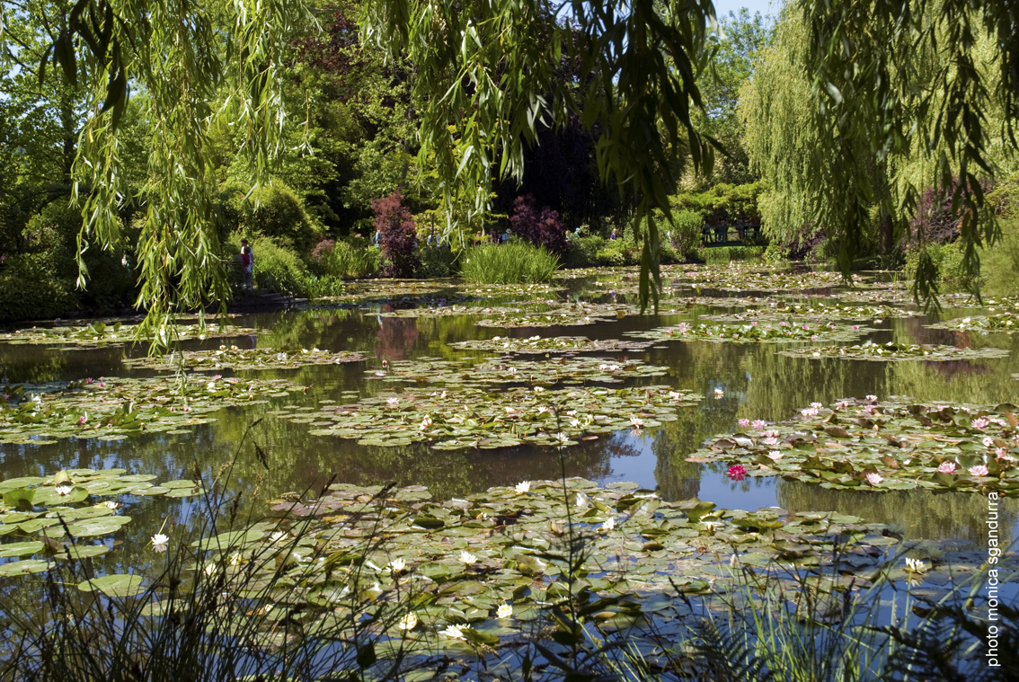il giardino di Giverny