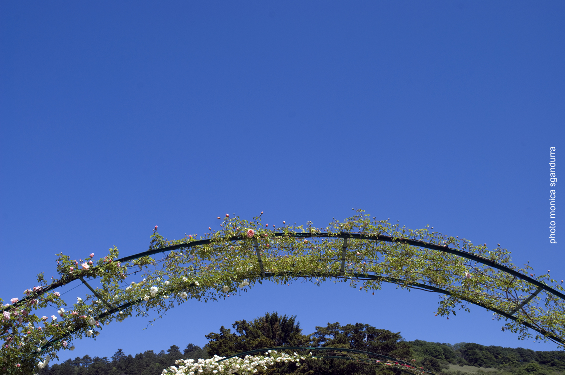 giardino di Giverny